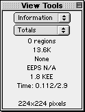 The Information buddy displaying data for the graph view as a whole